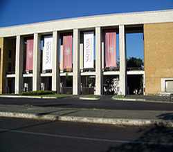 laurea primo livello