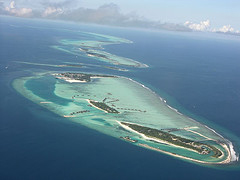centro-ricerca-bicocca-maldive