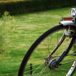 polygiro 2010