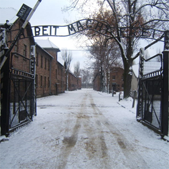 Nasce la rete universitaria nazionale per ricordare la Shoah