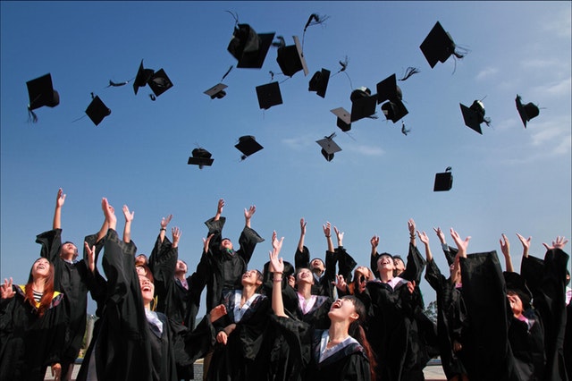 laurea di primo livello