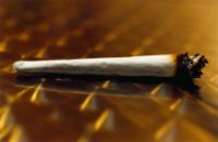 Arrestato perché spacciava hashish all’Università