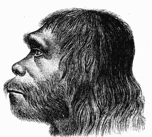ricerca uomo Neanderthal