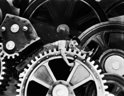 I mille volti del mercato del lavoro…