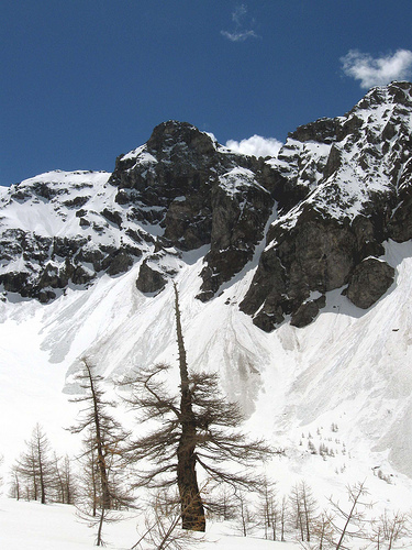 Università di Trento: arriva l’iphone anti-valanga