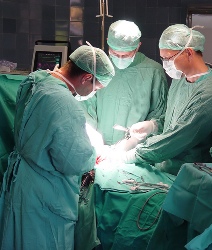 Laurea in Medicina e Chirurgia