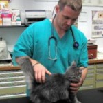 Test di ammissione per veterinaria: si terranno il 7 settembre 2009