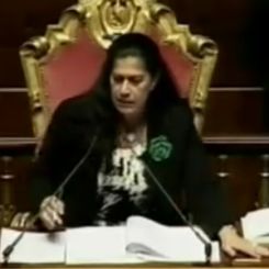 VIDEO/Bagarre in Senato sul voto al ddl Gelmini