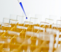 50 tirocini nel settore chimico, farmaceutico, biotecnologico
