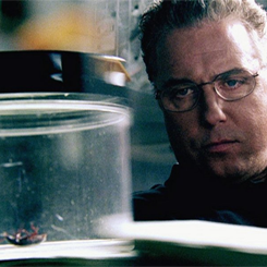 Cervelli in fuga, vola in Inghilterra l’entomologo italiano in stile Csi