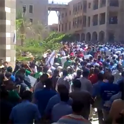 Proteste all'universita' americana del Cairo