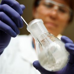 Ricerca italiana in declino, la rettifica di Cinzia Deraio