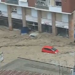Genova dopo l’alluvione, università chiusa e “angeli del fango” al lavoro