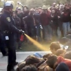 Occupy Wall Street, la polizia usa spray urticante contro studenti