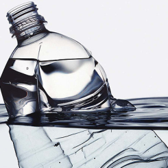 Usa, l’Università del Vermont dice stop alla plastica. Vietata la vendita di bottiglie d’acqua