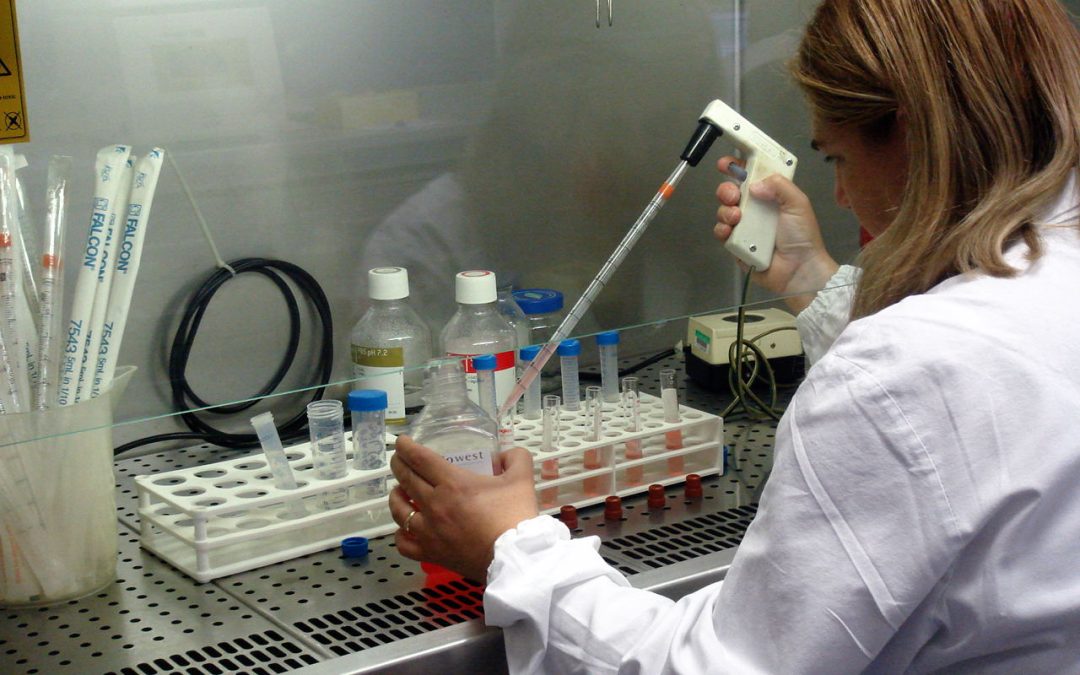 Regno Unito, 100 milioni di sterline per la ricerca universitaria