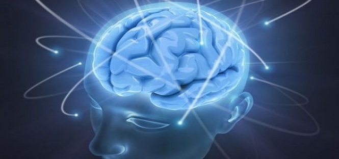 L’Università di Milano-Bicocca eccelle in Neuroscienze: nuova ricerca ottiene riconoscimento a Pechino