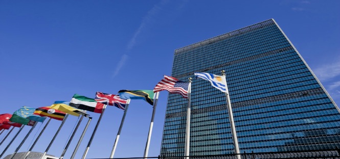 Concorso ONU 2012