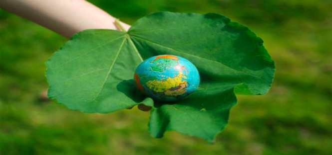 Tirocinio retribuito a Bruxelles per laureati presso Friends of the Earth, settore management