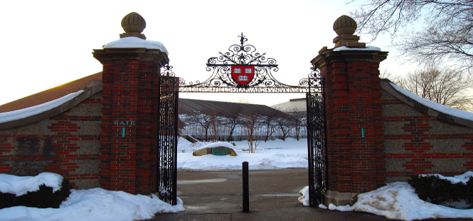 Record di suicidi tra gli studenti di Harvard: “Troppo stress”