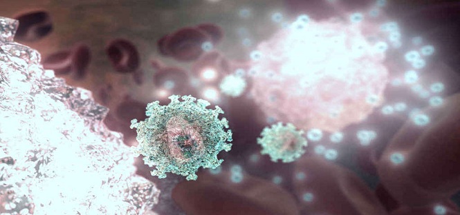 cellule immunitarie ringiovanite contro cancro e aids