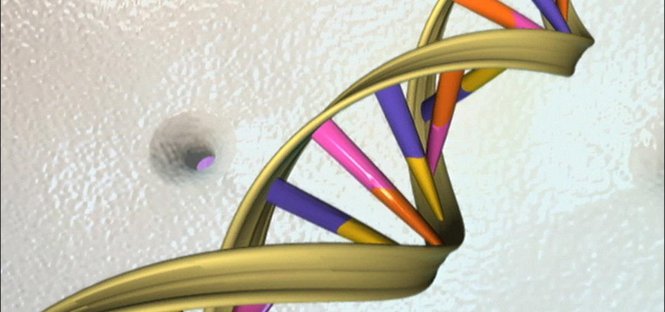 ricerca ucla grasso dipende dai geni