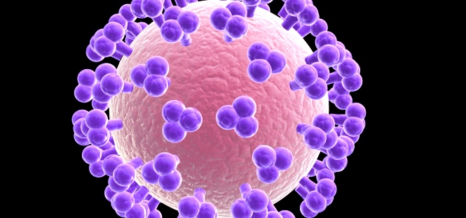 UCLA scopre proteina in grado di bloccare virus HIV