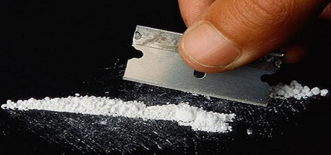 ricerca rivela la causa dei danni della cocaina al cervello
