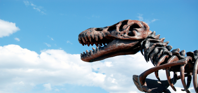 University of Adelaide: “I dinosauri? Avevano il sangue caldo”