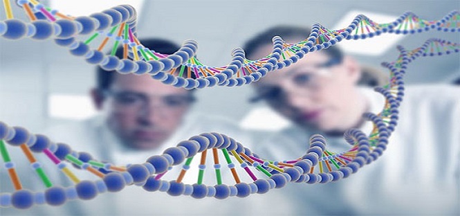 Non più lunghe attese per il test del DNA: adesso può essere fatto in meno di 90 minuti