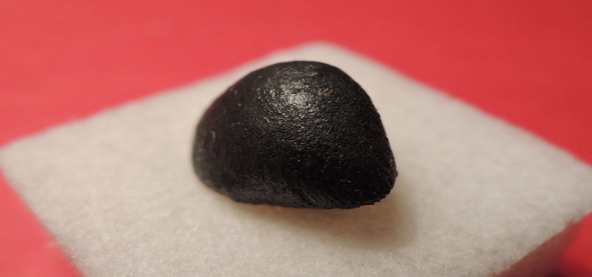 meteorite chelyabinsk contiene basi molecole della vita