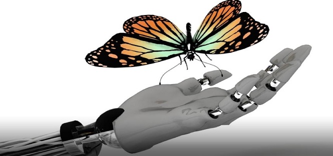 Arriva LifeHand2, la prima mano bionica con il senso del tatto. Un’invenzione Made Italy