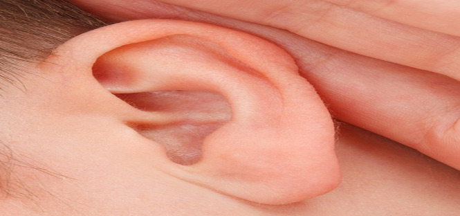 L’udito è selettivo. Una membrana ci “protegge” dai suoni indesiderati