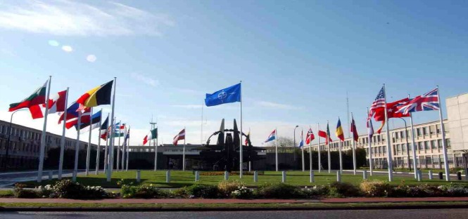 Tirocini NATO Bruxelles 2014