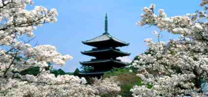 Borse di studio per il Giappone destinate a laureati, artisti e laureandi