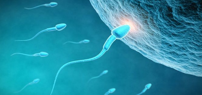 Juno, ecco la chiave della fertilità: merito di una scoperta britannica