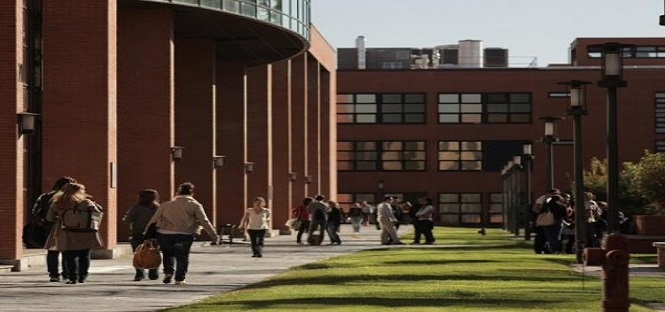 Madrid, scoperta “cantina degli orrori” all’università: più di 250 cadaveri ammassati nella facoltà di Medicina