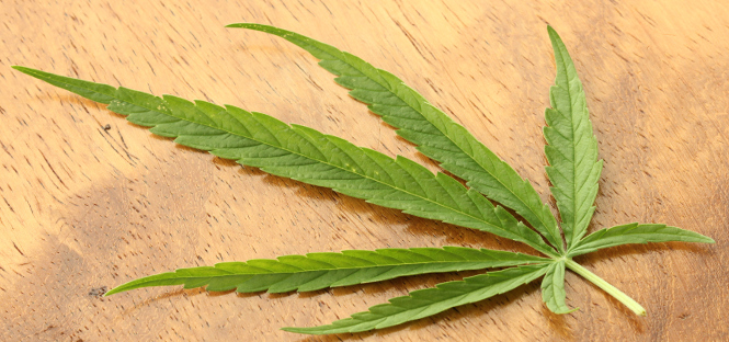 Relazione al Parlamento sulle tossicodipendenze 2014: 1 giovane su 4 fa uso di cannabis