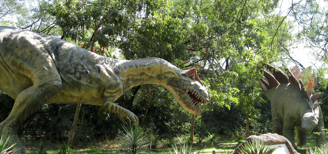 Alla Sapienza la mostra “Dinosauri in carne e ossa” per conoscere da vicino i giganti del passato