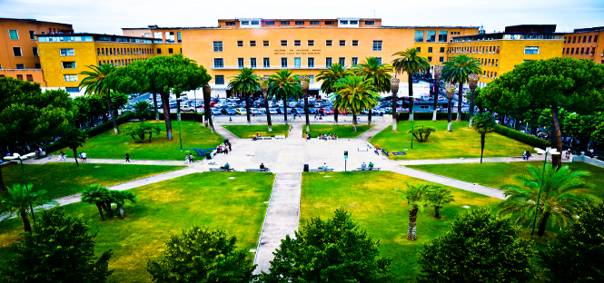 Diana Armento (Sapienza): “Per il futuro dell’università servono risorse, più diritto allo studio e fondi per la ricerca”