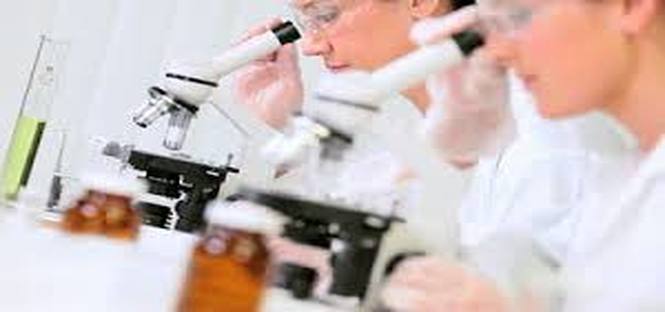 Premio di laurea per tesi sulla ricerca sul cancro