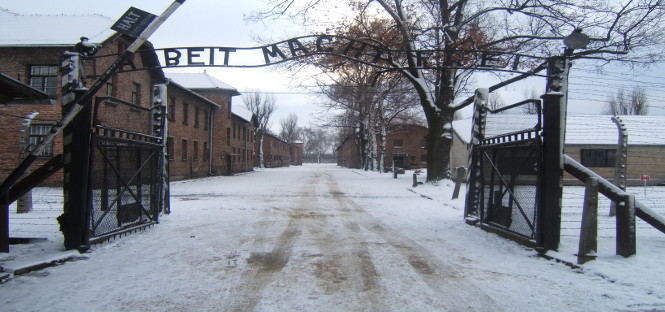 università di torino viaggio della memoria ad Auschwitz