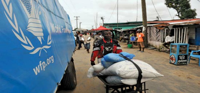 Tirocinio retribuito con World Food Programme a Berlino