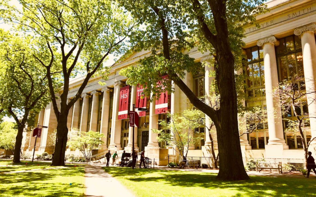 Studiare all’estero nelle Major: perché scegliere Harvard e Yale?
