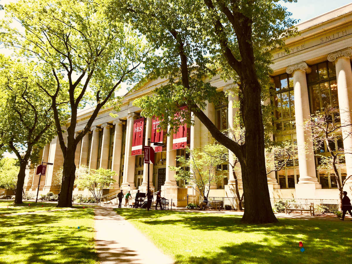 Harvard o Yale: quale università scegliere?