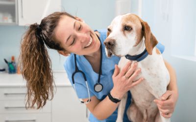 Test ammissione veterinaria: consigli generali