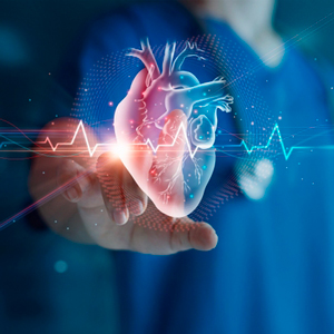 Politecnico di Milano crea un cuore digitale perfettamente identico a quello umano