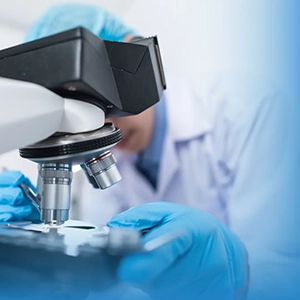 Test Medicina 2024: TOLC-MED