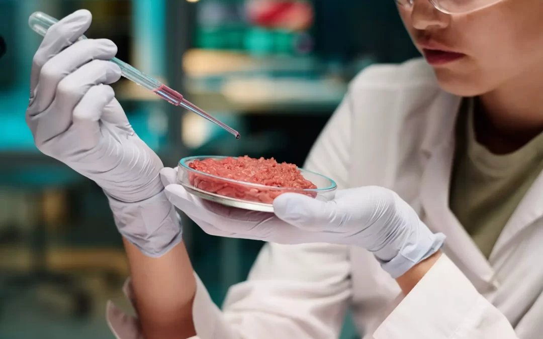 Carne coltivata, l’Università di Torino lancia la sfida