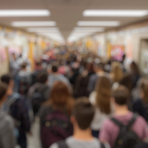 Iscrizioni Scuola 2026/2027. È boom ai licei